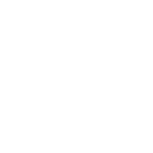 3x3_india-logo